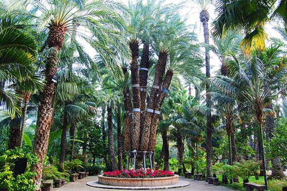 דירות Piso Centro Elche Junto Basilica מראה חיצוני תמונה